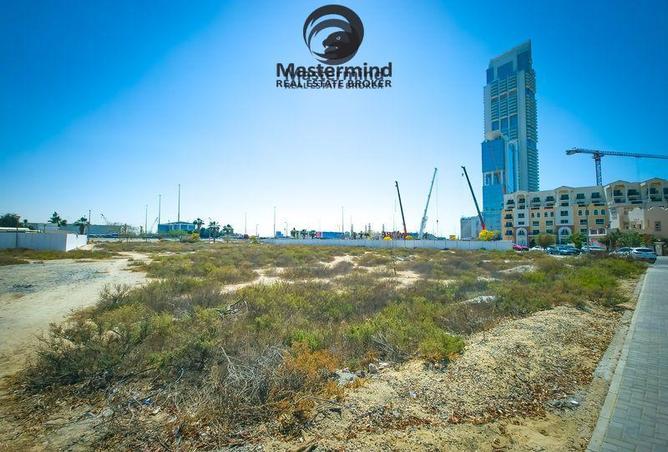 16217489 - صورة العقار 3