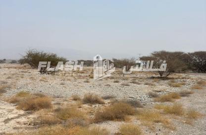 Land - Studio for sale in Al Qusaidat - Ras Al Khaimah