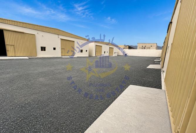 127464803 - Property Image 3