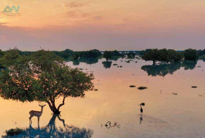 75400959 - صورة العقار 3