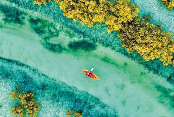 75400959 - صورة العقار 2