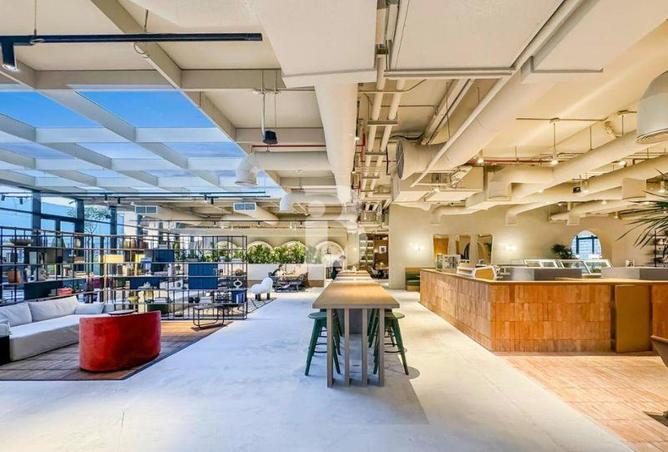 16217445 - Property Image 3