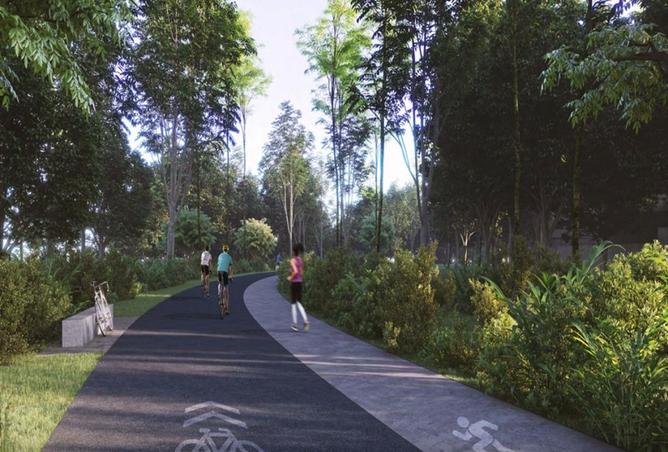 55742998 - Property Image 3