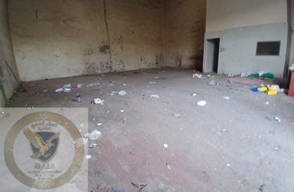 مستودع - استوديو - 1 حمام للايجار في بناية اس جي 10 - المنطقة الصناعية رقم 10 - المنطقة الصناعية بالشارقة - الشارقة مستودع - استوديو - 1 حمام للايجار في بناية اس جي 10 - المنطقة الصناعية رقم 10 - المنطقة الصناعية بالشارقة - الشارقة
