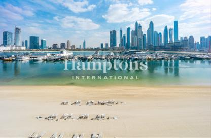 Apartment - 1 - 1 for rent in Beach Mansion Tower 2 - Beach Mansion - Emaar Beachfront - Dubai Harbour - Dubai