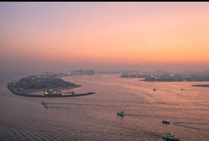 16125842 - صورة العقار 3