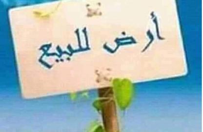 Land - Studio for sale in Al Helio 1 - Al Helio - Ajman