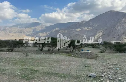 أرض - استوديو للبيع في الرمس - رأس الخيمة