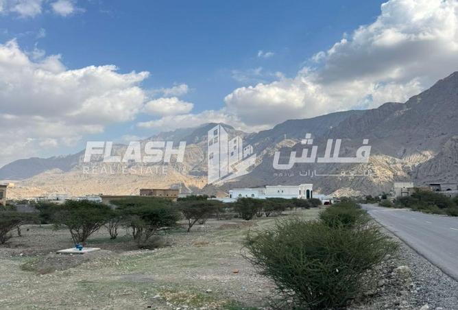 16100226 - Property Image 3