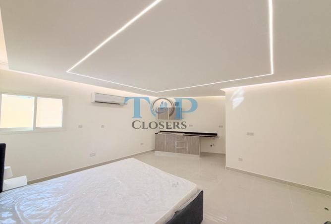 16098885 - Property Image 3