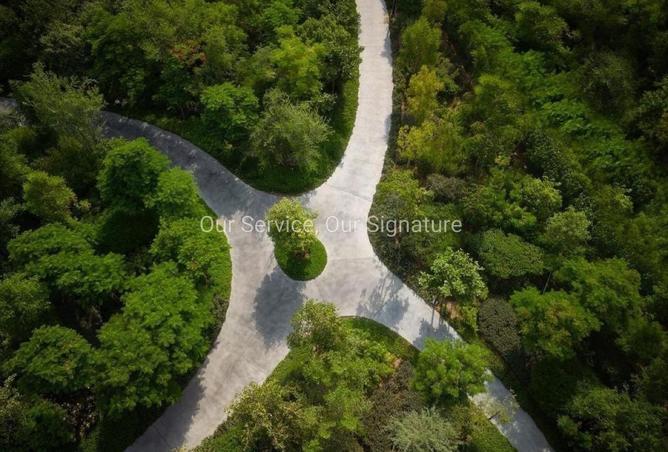 142367372 - Property Image 3