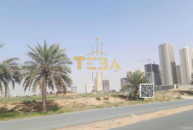 54397505 - Property Image 3