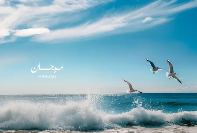 149584804 - صورة العقار 3