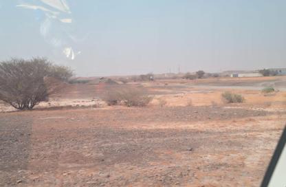 Land - Studio for sale in Manama - Ajman Land - Studio for sale in Manama - Ajman