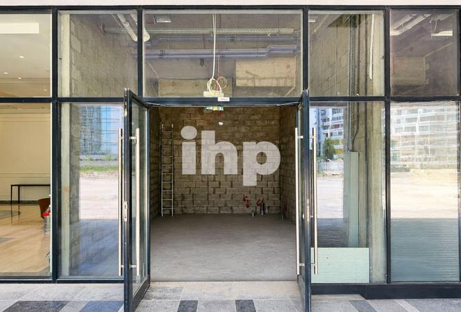141899687 - Property Image 3