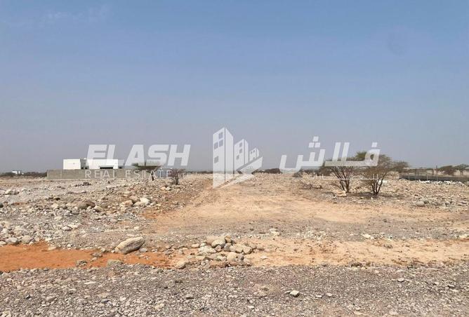 128815571 - Property Image 2