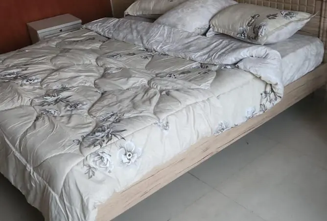 99560337 - صورة العقار 2