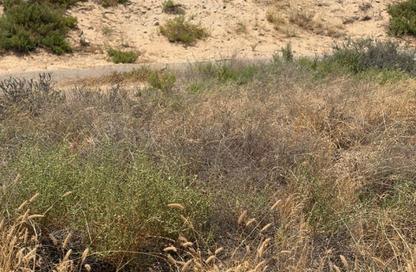 Land - Studio for sale in Athaib - Al Rowdat Suburb - Sharjah