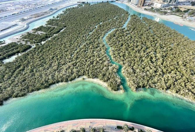 61686093 - صورة العقار 2