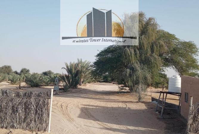 16211398 - Property Image 3