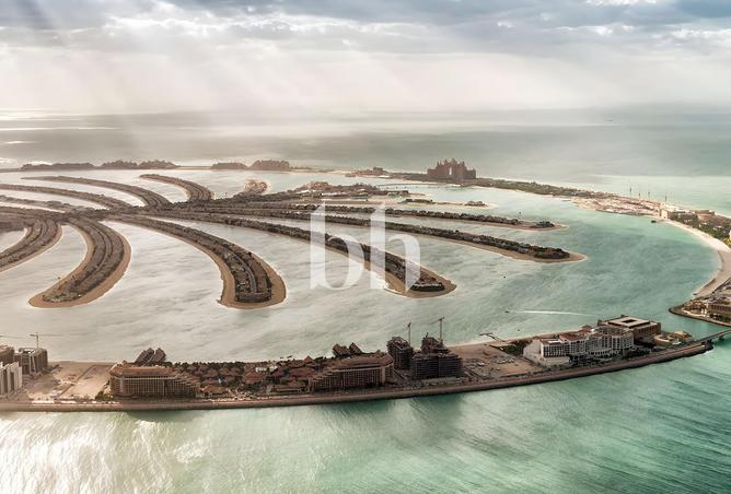 55347612 - الصورة الرئيسية للعقار