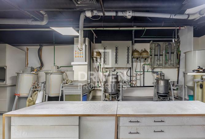 16005955 - صورة العقار 3