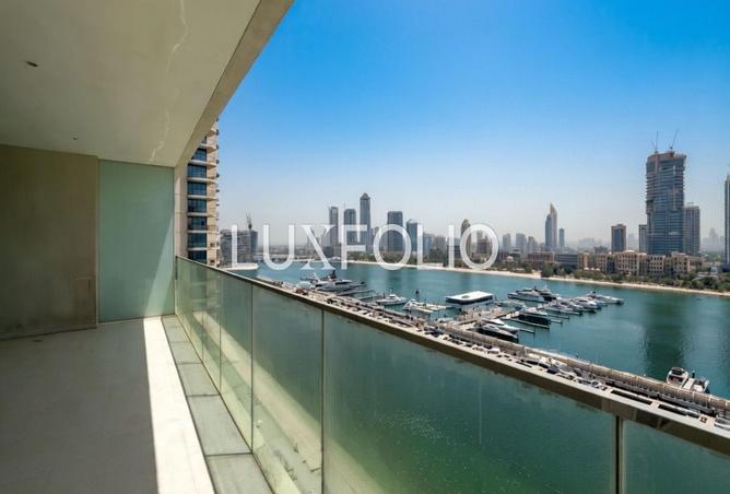 53609136 - صورة العقار 3