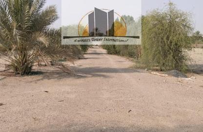 Farm - Studio for sale in Al Ain Tower - Khalidiya Street - Al Khalidiya - Abu Dhabi