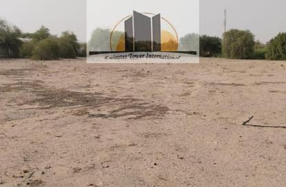 Farm - Studio for sale in Al Ain Tower - Khalidiya Street - Al Khalidiya - Abu Dhabi