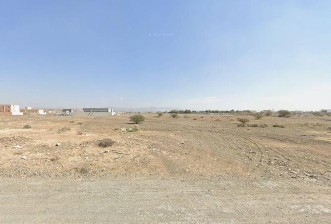 113710997 - Property Image 3