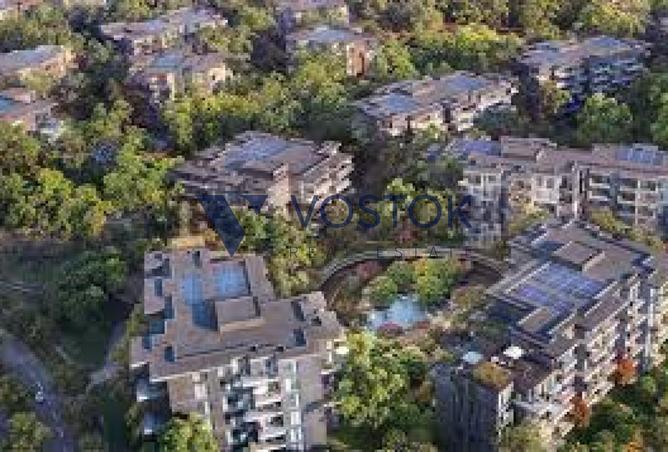 16061685 - Property Image 3