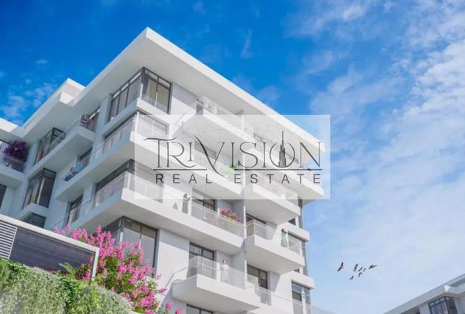 71913055 - Property Image 3