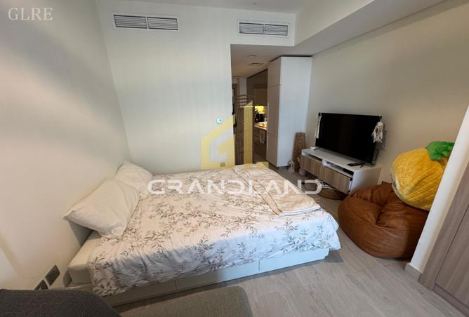 16246629 - Property Image 3