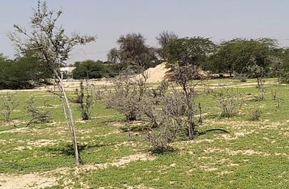 Land - Studio for rent in Khatt - Ras Al Khaimah