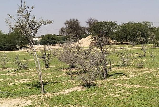 73853812 - صورة العقار 3