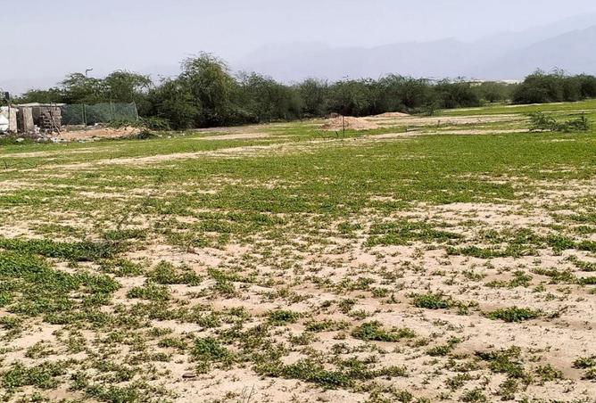 73853812 - الصورة الرئيسية للعقار