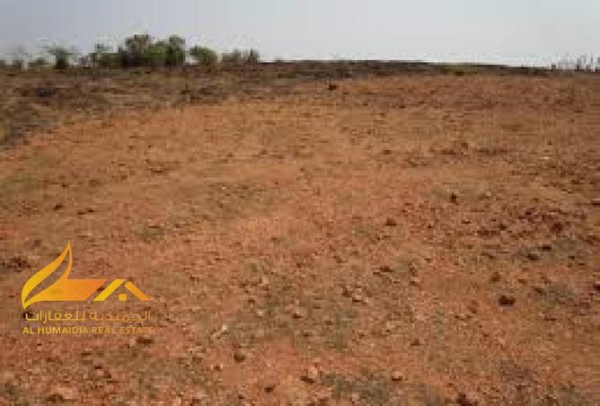 84077221 - Property Main Image