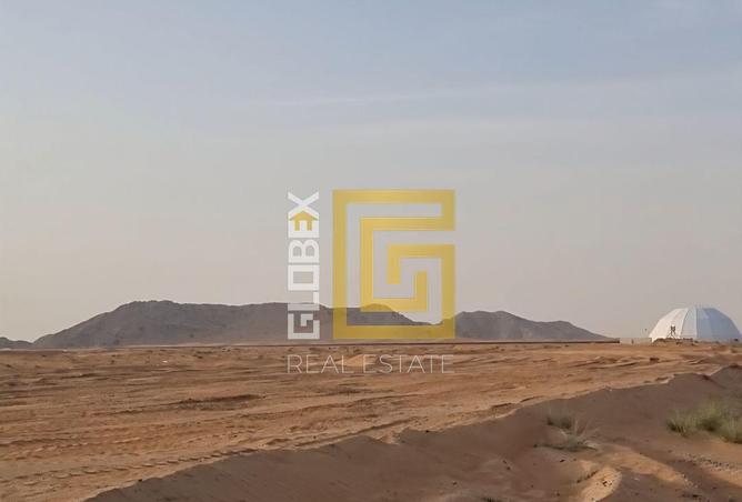 58582612 - صورة العقار 2