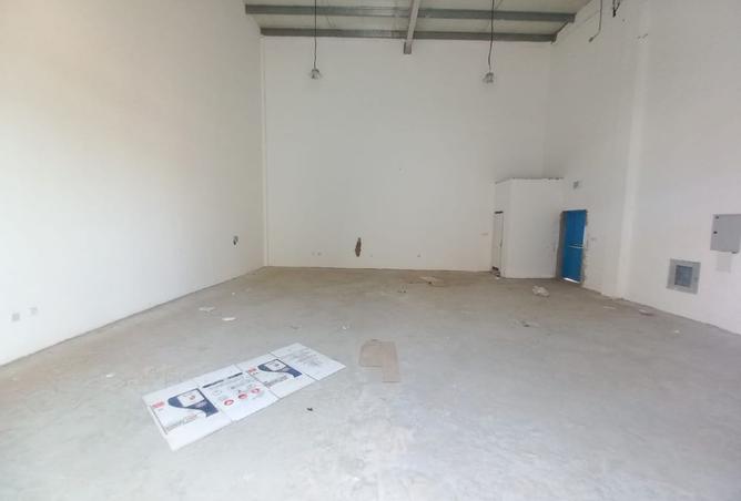 124731592 - Property Image 3