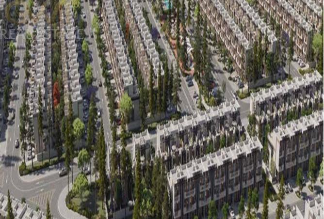 16169291 - Property Image 3