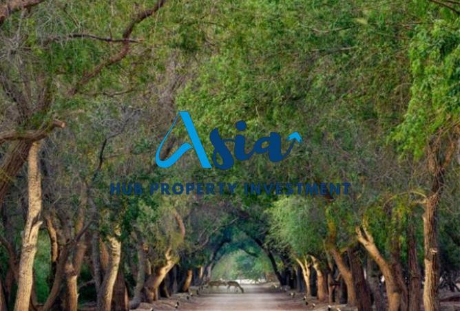 60919959 - صورة العقار 2