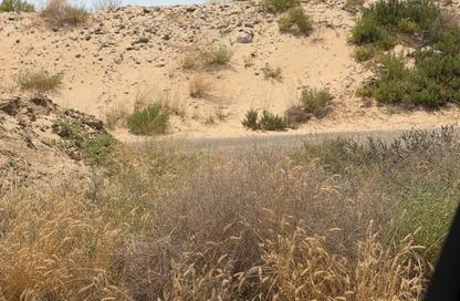أرض - استوديو للبيع في حوشي 1 - حوشي - البادي - الشارقة