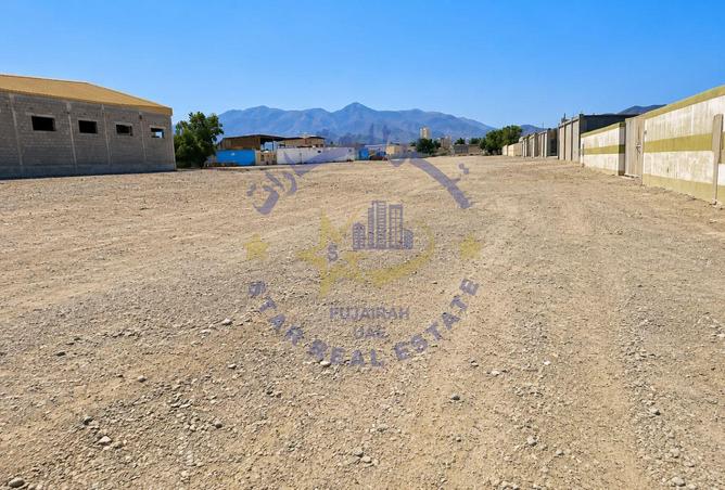 124711667 - Property Image 2