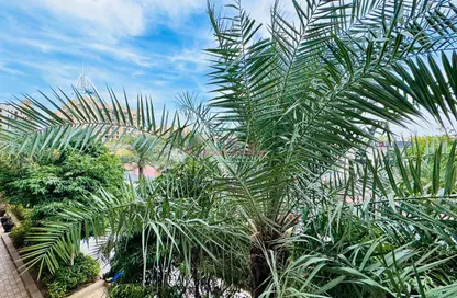 Apartment - 1 Bedroom - 1 Bathroom for rent in Rahaal 2 - Madinat Jumeirah Living - Umm Suqeim - Dubai Apartment - 1 Bedroom - 1 Bathroom for rent in Rahaal 2 - Madinat Jumeirah Living - Umm Suqeim - Dubai