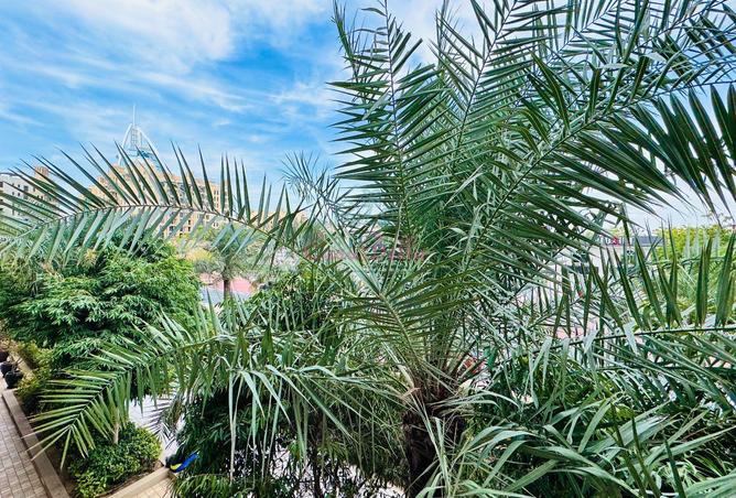 59735338 - Property Main Image