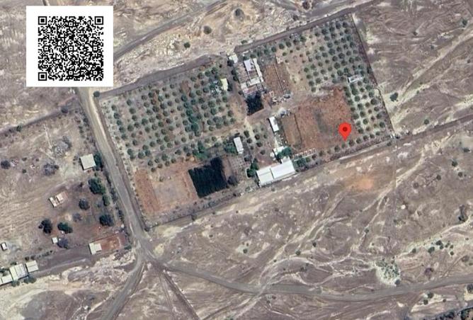 16156354 - صورة العقار 3