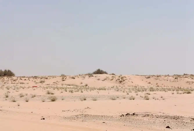 130664977 - صورة العقار 2
