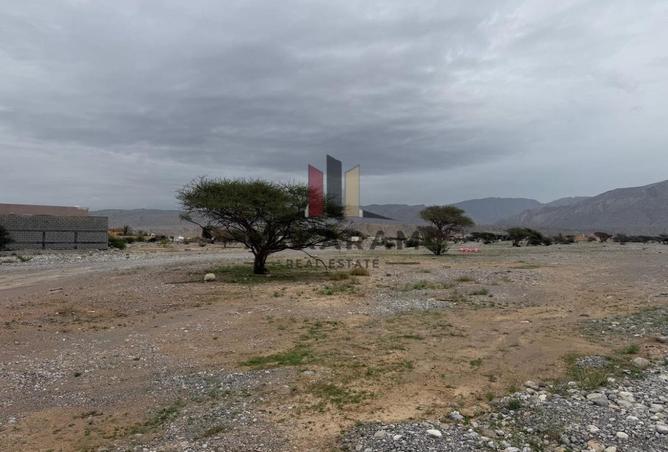 76177270 - الصورة الرئيسية للعقار