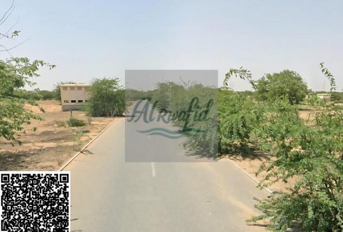 16100391 - Property Image 3