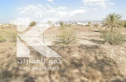 أرض - استوديو للبيع في المنامة - عجمان